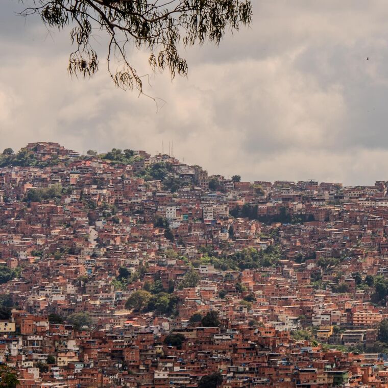Cerro de casas de ladrillo bajo nubes grises, con una rama en primer plano. Caracas.