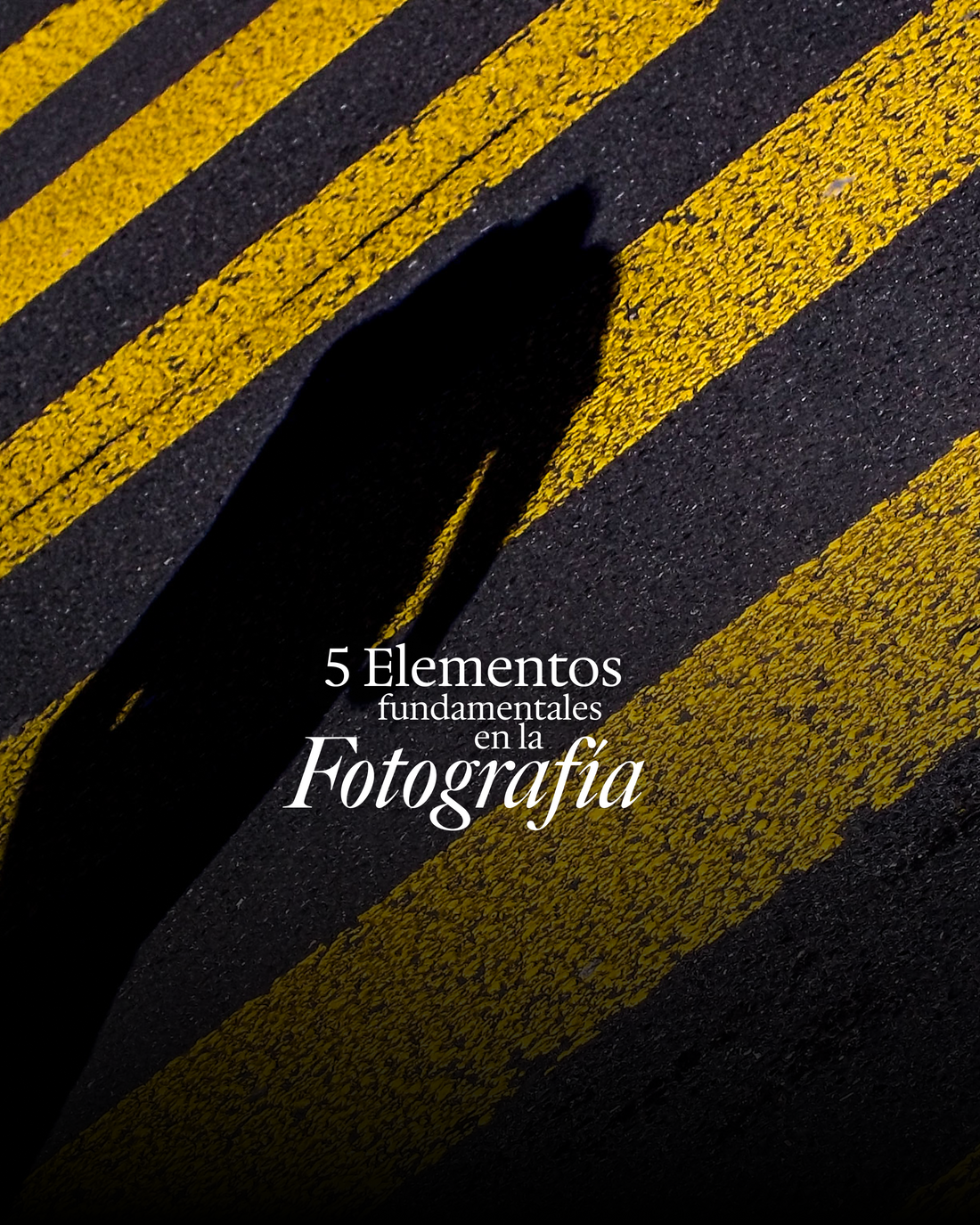 Los 5 pilares de la fotografía: la base para entender cualquier imagen