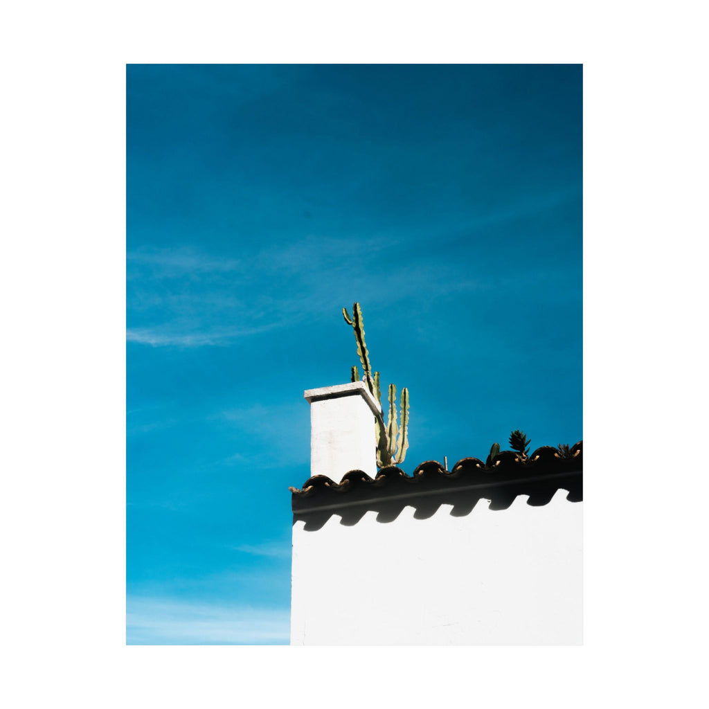 Chimenea con cactus · Ibiza