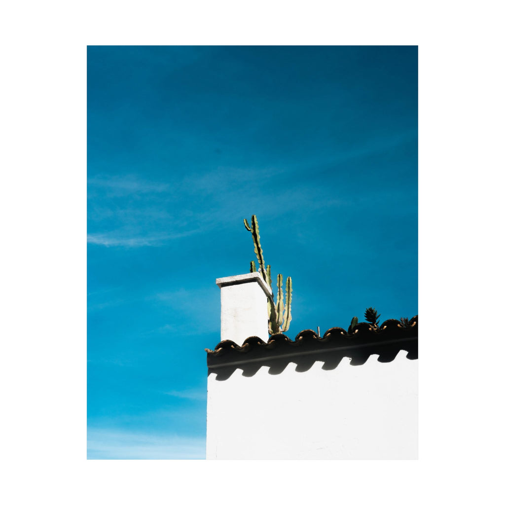 Chimenea con cactus · Ibiza